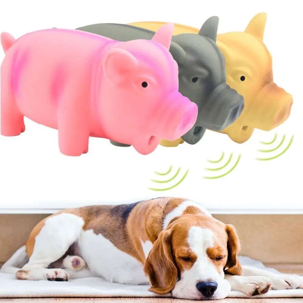 Latex Pig Toy: Grunter Sound Stuffed Chew Toy