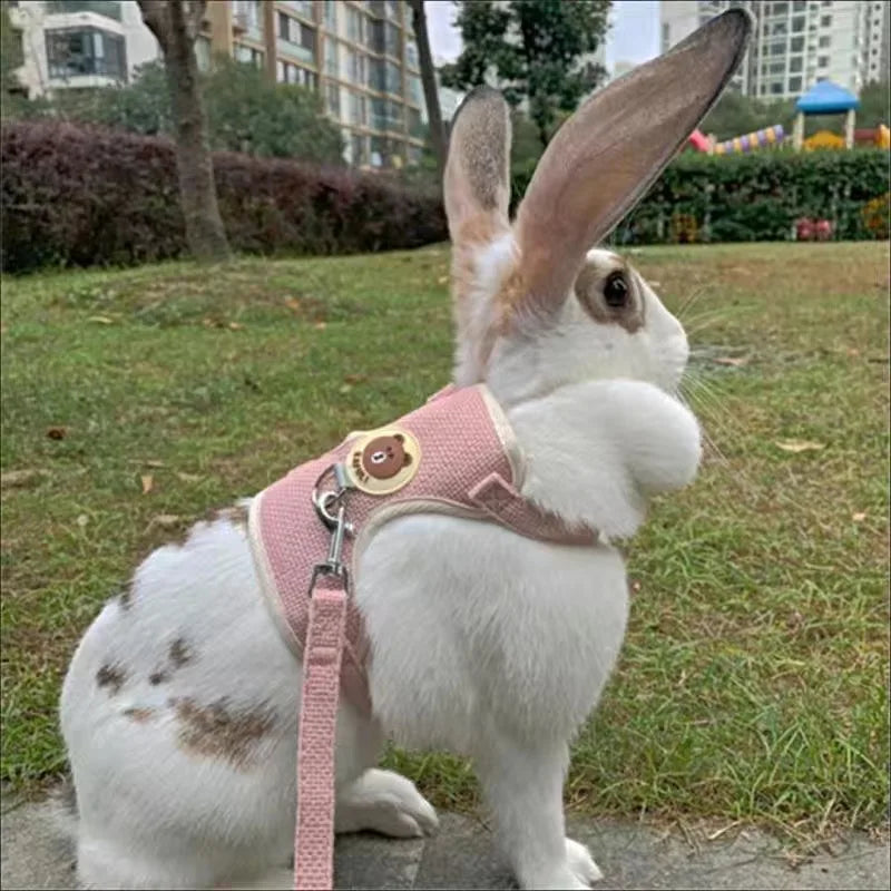 Newest Cute Rabbit Harness and Leash Set: Bunny Pet Accessories