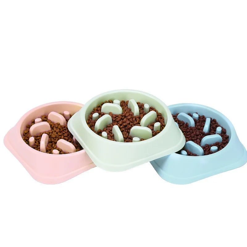 Pet Slow Feeder Bowl: Cat Dog Feeding Bowls, Down Feeders