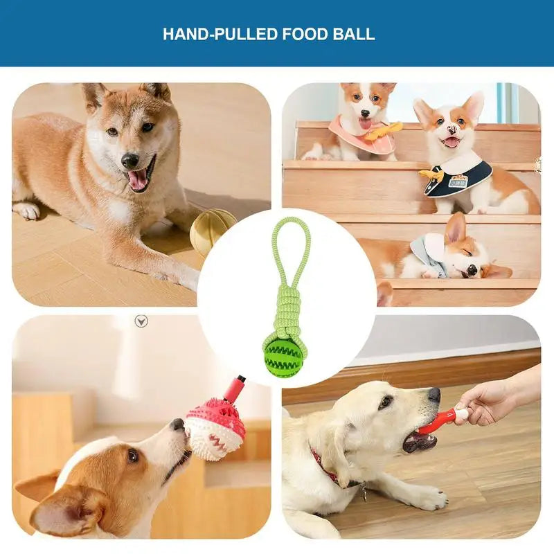 Tug Toy Ball: Interactive fetch ball, rope tug, for grassland or home.