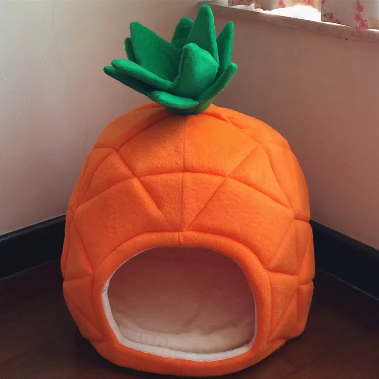 Comfy Pet Home: Vibrant and Fun for Furry Companions