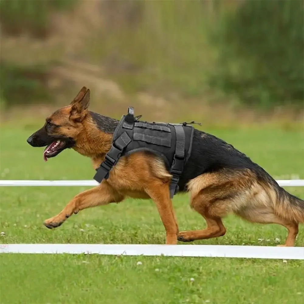 Tactical dog vest: Light harness for pets.