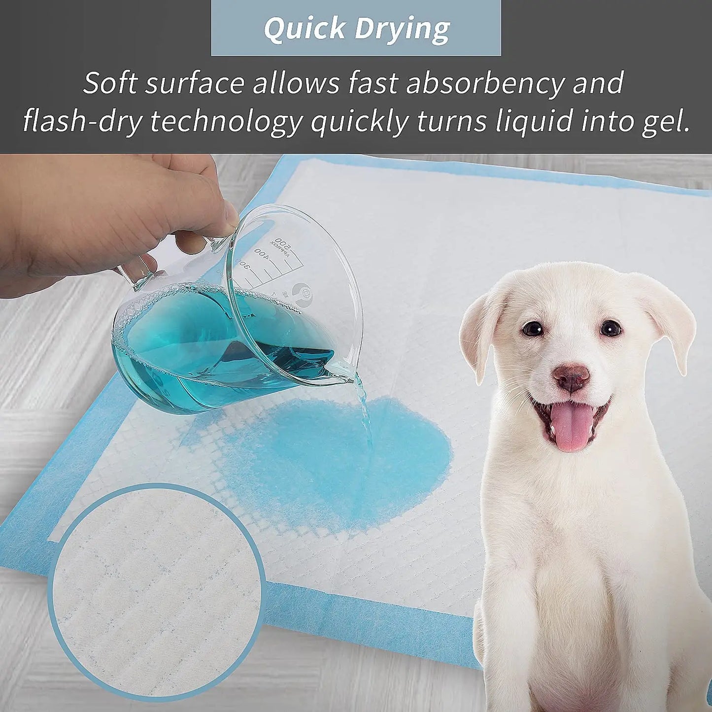 Super Absorbent Diapers: Keep Your Pet Clean and Dry!