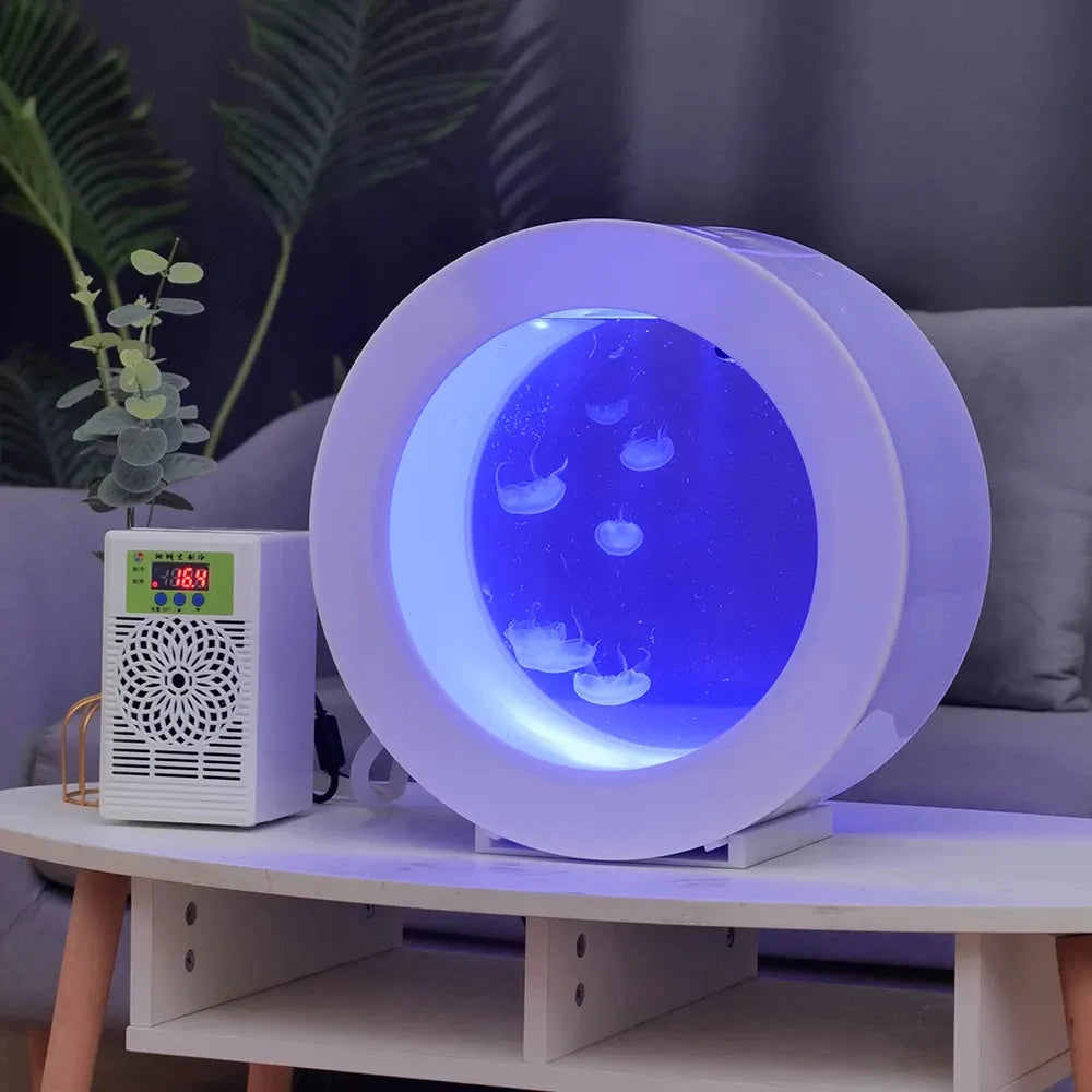 Mini Desktop Jellyfish Tank: Acrylic, Fish Aquarium