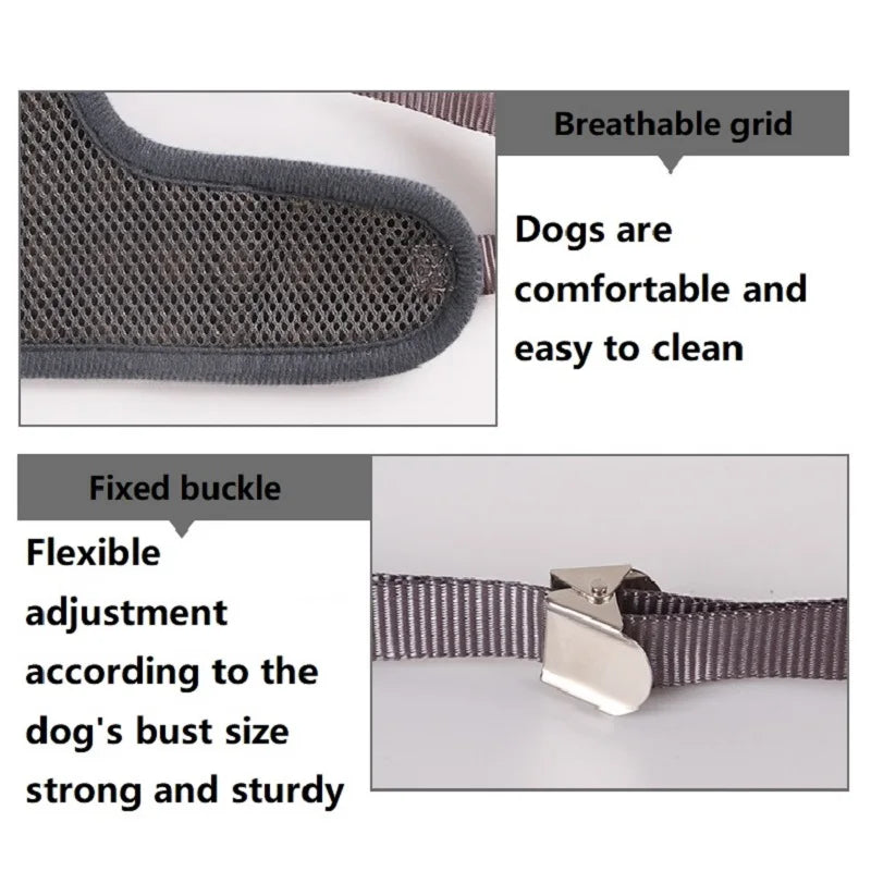 Adjustable Dog Harness: Ensure Your Pet's Comfort and Safety!