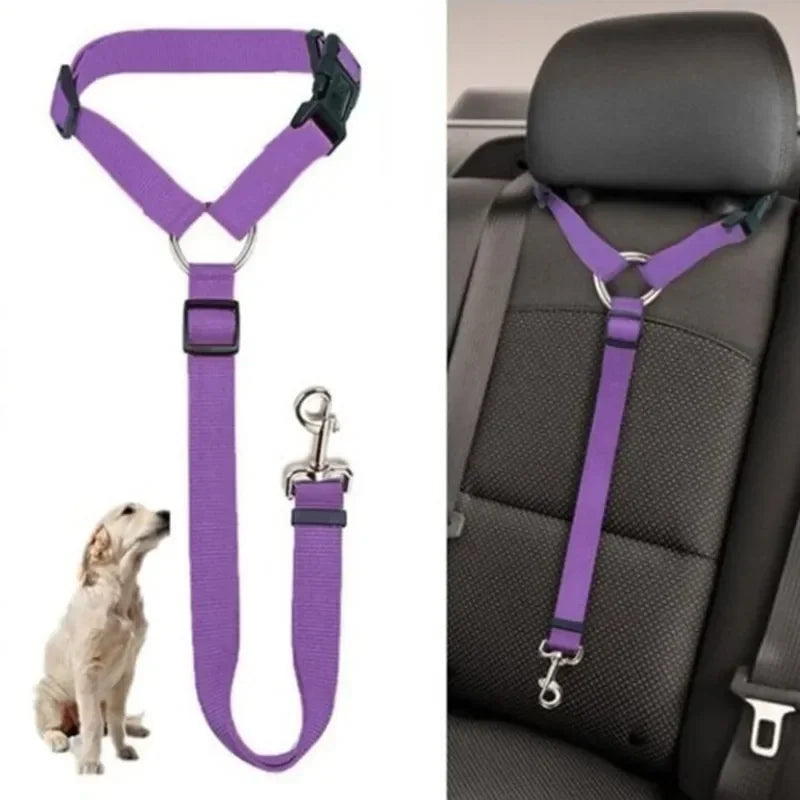 Two-in-one pet car seat belt: Adjustable, backseat safety for dogs.