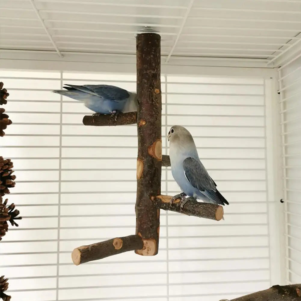 Parrot Bird Wood Stand Pole Toy: Habitat Decor, Supplies