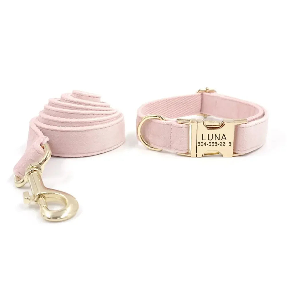 Dog Show Leads Set: Safety, Designer Collars, Fabric Cat Collar