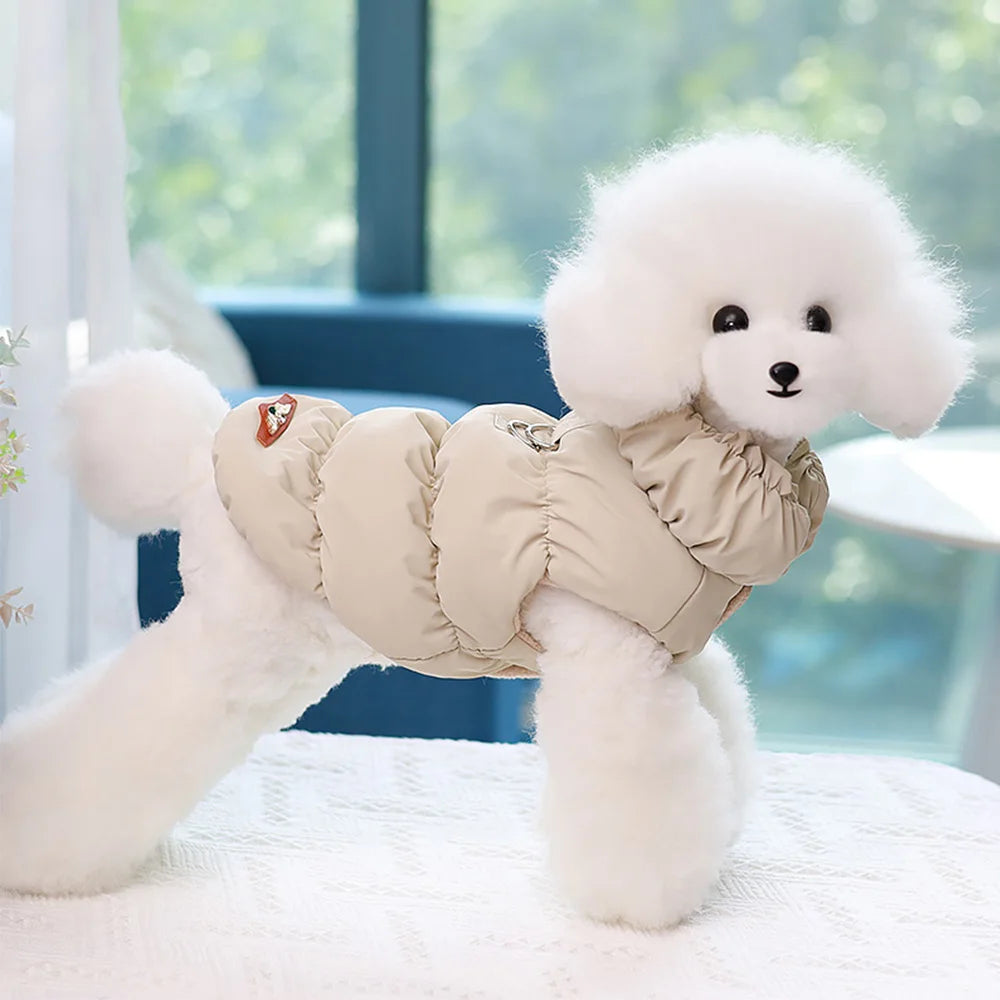 Winter padded pet coat: Stylish, warm outfit for small to medium pets.