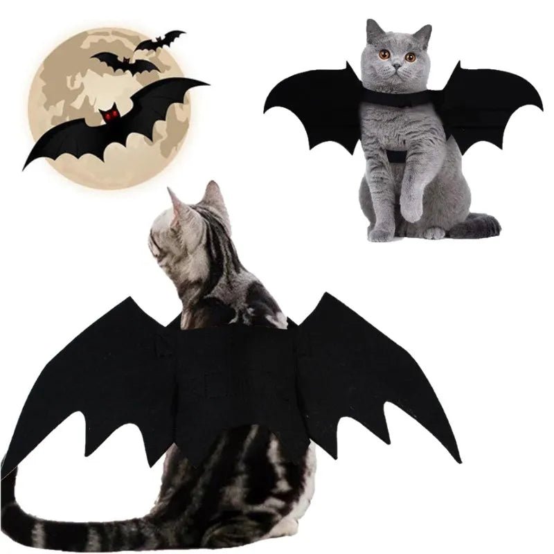 Pet Bat Wing Costume: Halloween cosplay costume for pets.