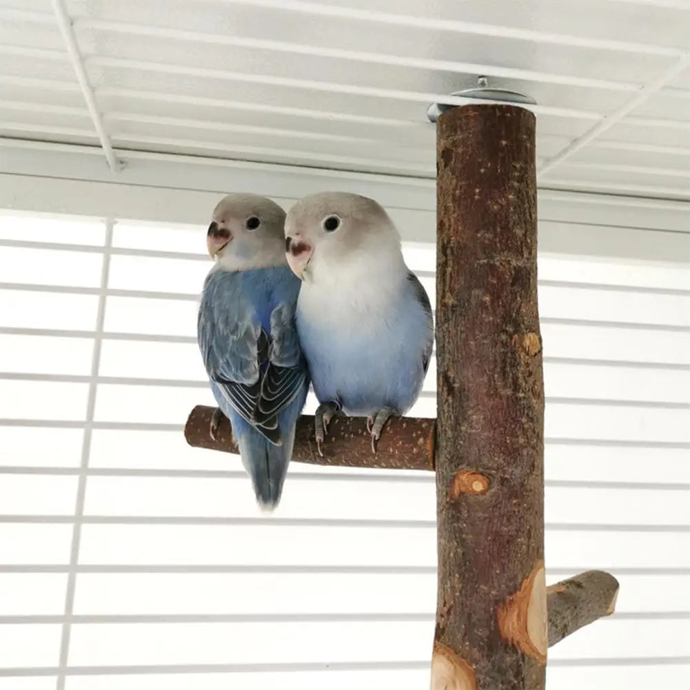 Parrot Bird Wood Stand Pole Toy: Habitat Decor, Supplies