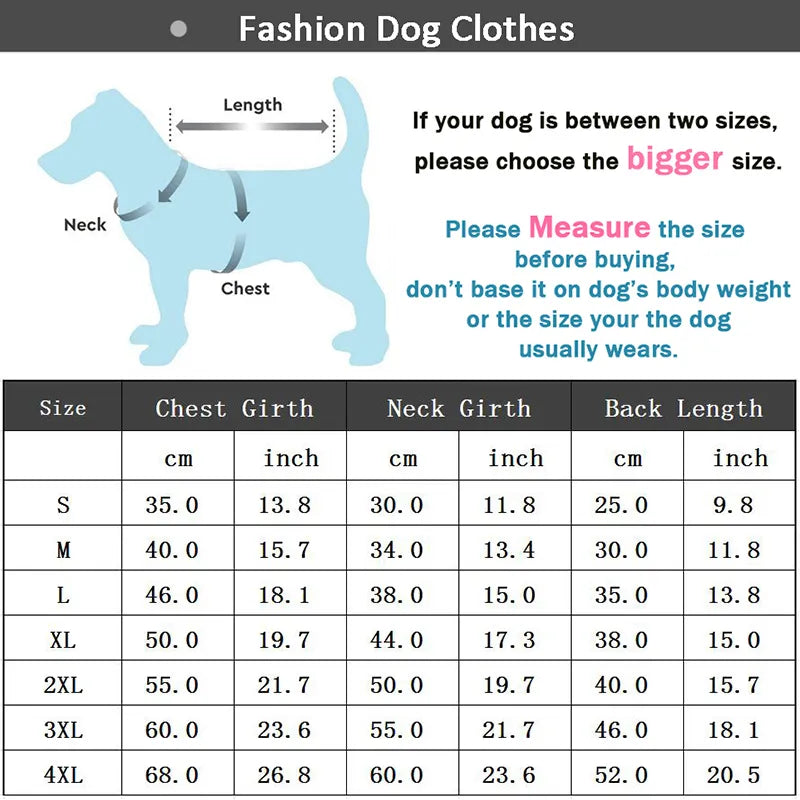 Winter Dog Jacket: Keep Your Dog Warm and Stylish!
