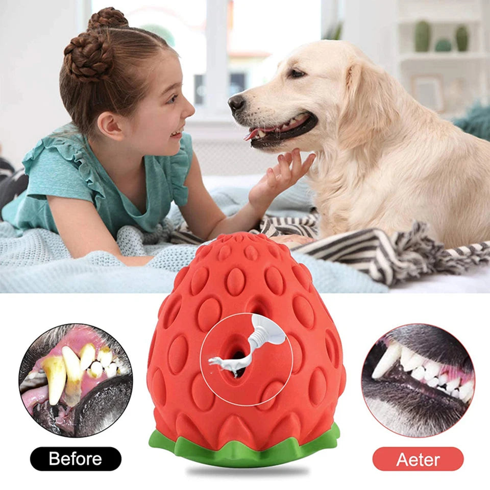 Feeder: Rubber puzzle ball for leaked food.