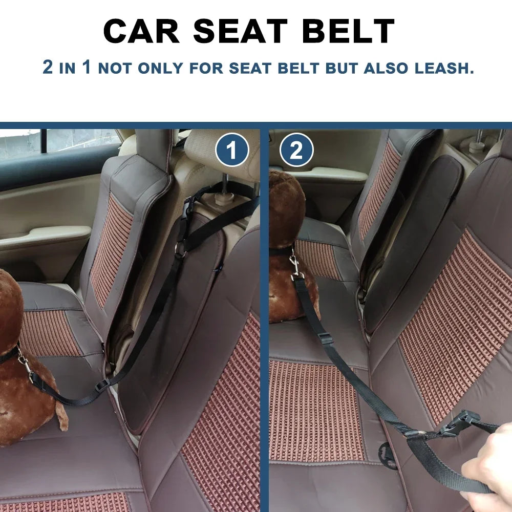 Two-in-one pet car seat belt: Adjustable, backseat safety for dogs.