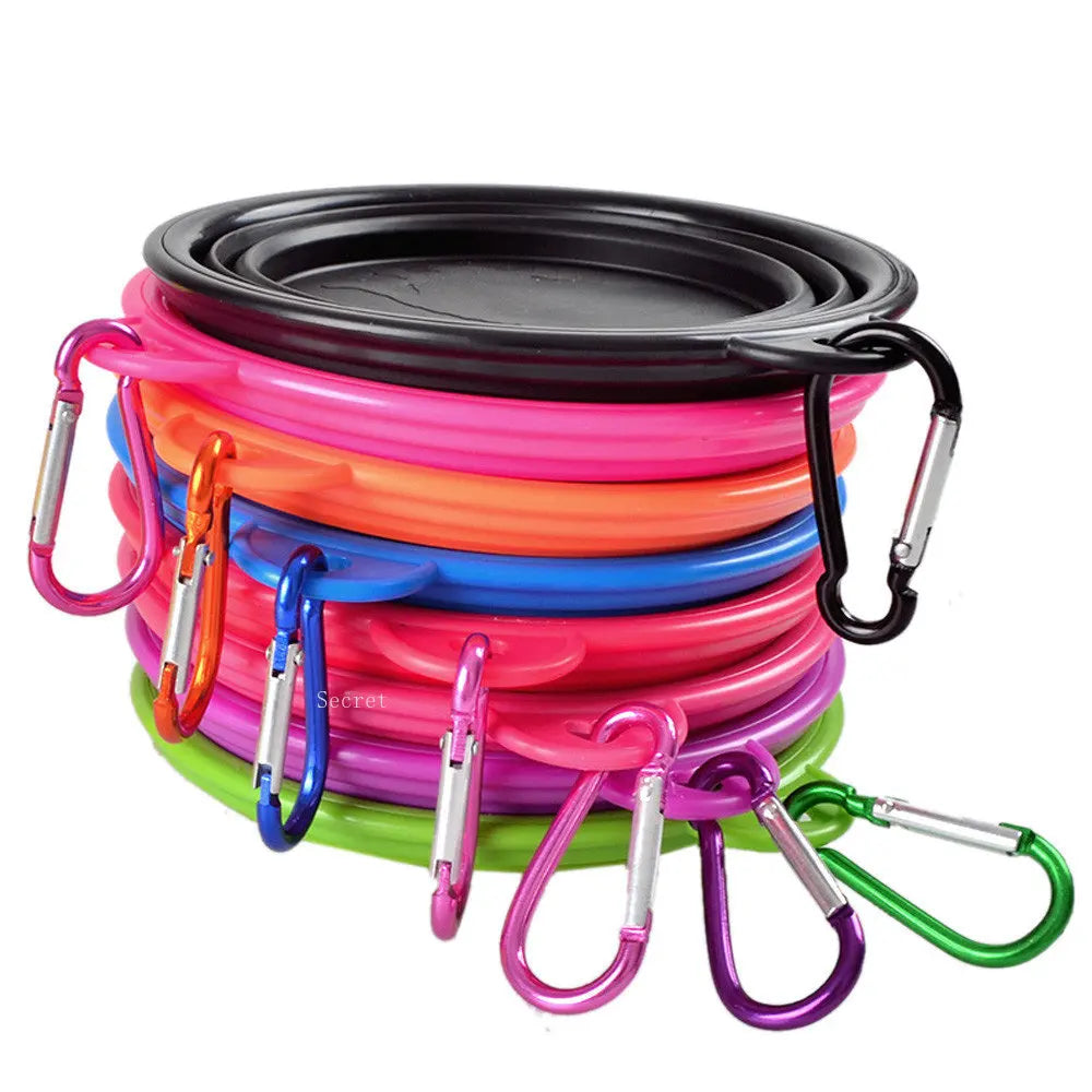 Silicone Bowl: Foldable, portable, for dog food.