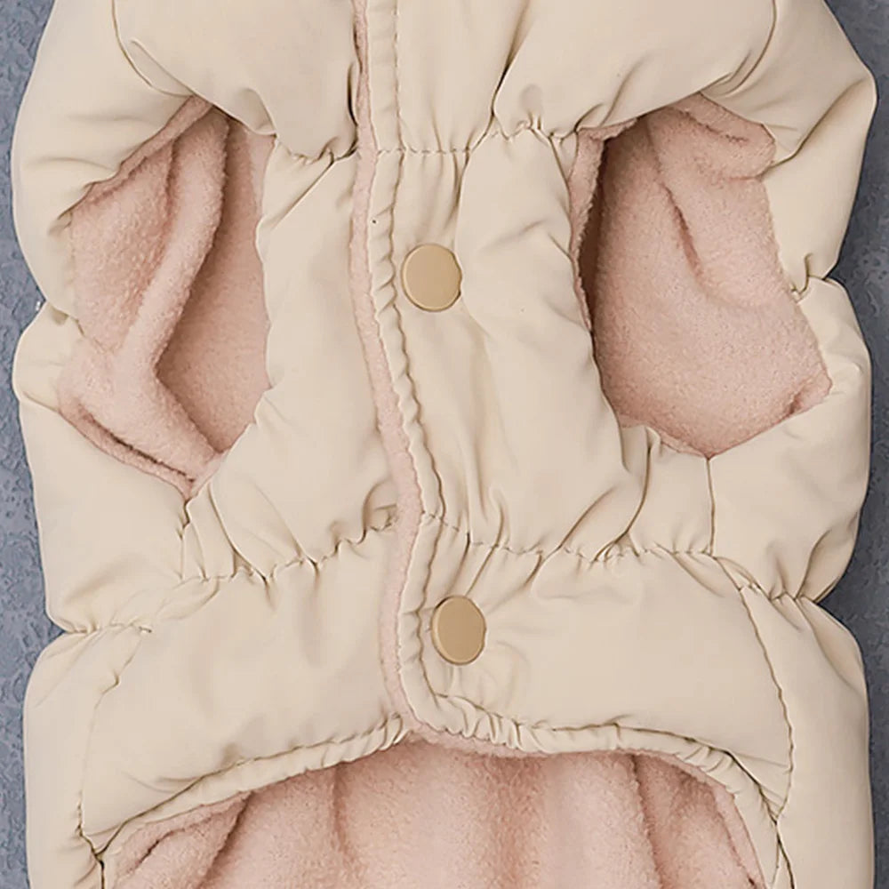Winter padded pet coat: Stylish, warm outfit for small to medium pets.