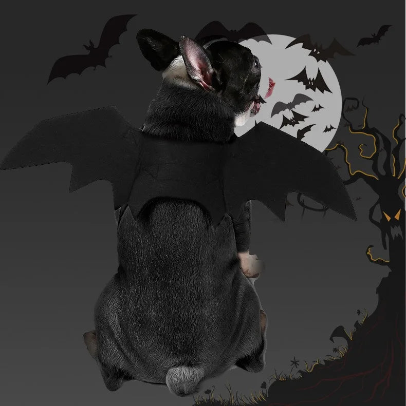 Pet Bat Wing Costume: Halloween cosplay costume for pets.