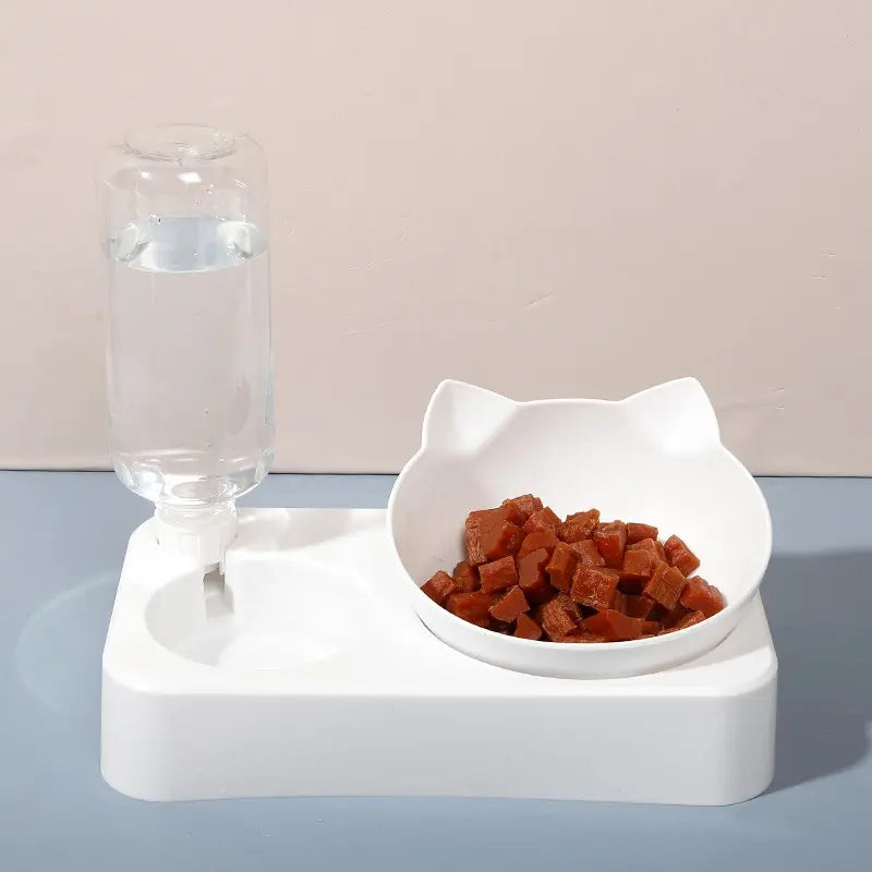 Ergonomic Pet Bowl with Automatic Feeder