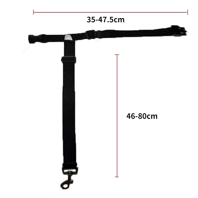 Two-in-one pet car seat belt: Adjustable, backseat safety for dogs.