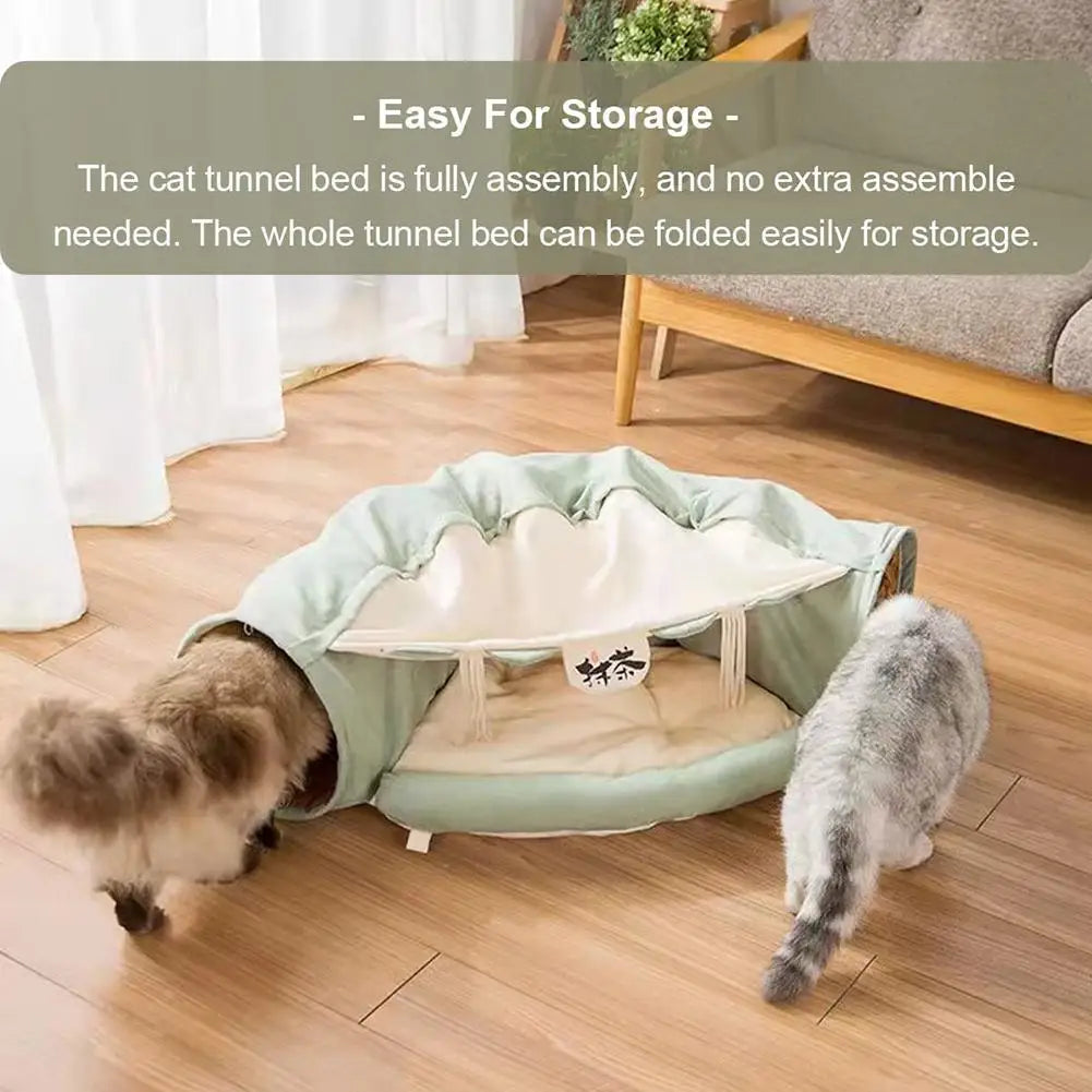 Interactive cat couch tunnel: Foldable agility play mat for pets.