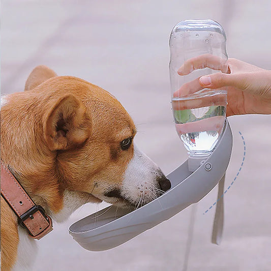 Dog Water Bottle: Portable, accompanying cup, for walking or hiking.