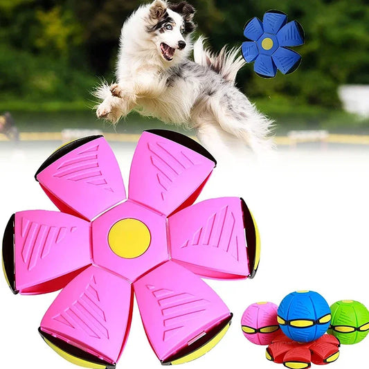 Flying UFO Dog Toy: Interactive saucer ball, outdoor sports, magic deformation.