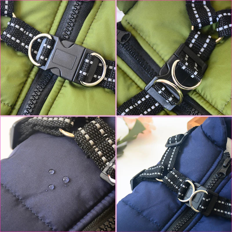 Big Dog Jacket