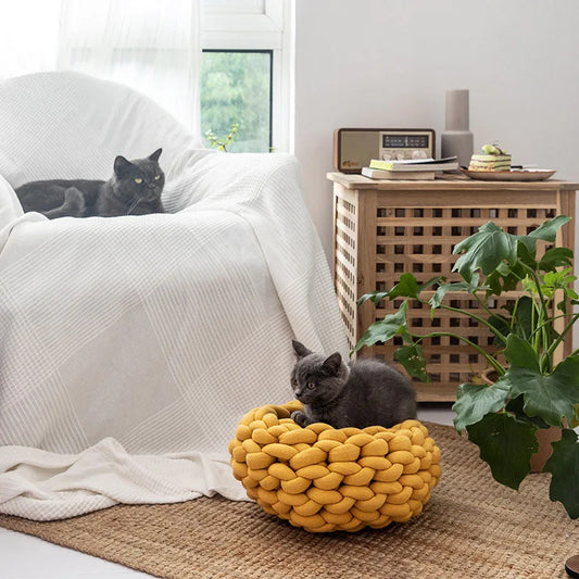 Soft Cat House Cushion: Provide a Warm Retreat for Your Cat!
