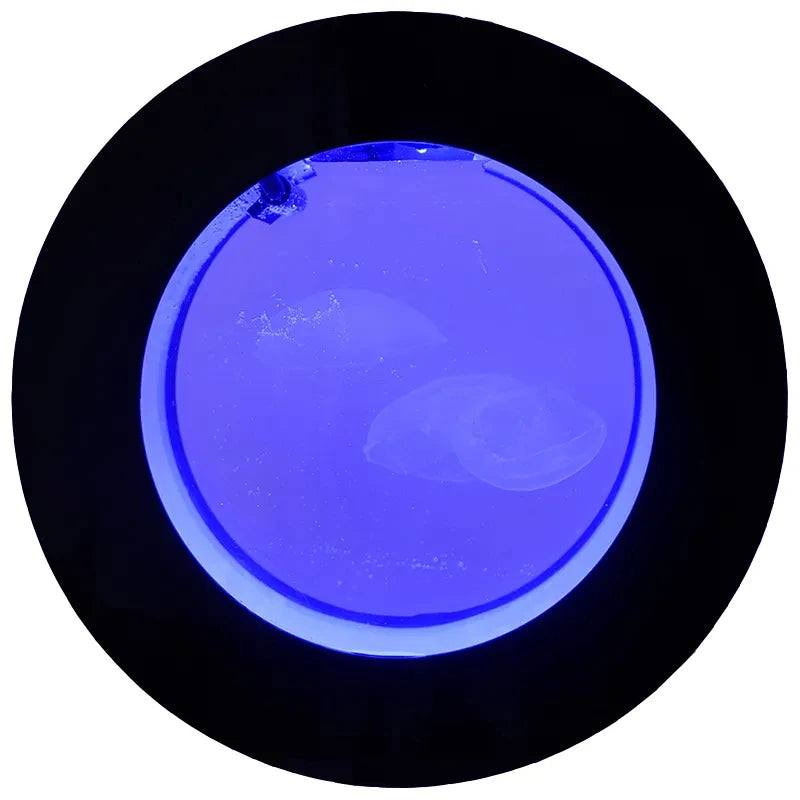 Mini Desktop Jellyfish Tank: Acrylic, Fish Aquarium