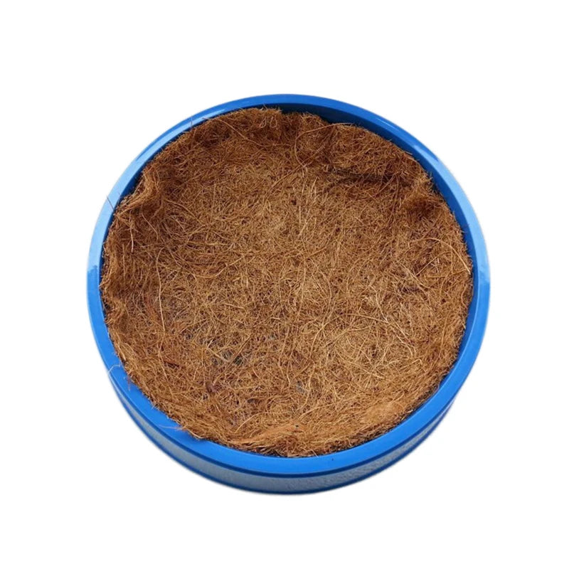 Dehumidification Bird Egg Basin: Plastic Nest Bowl for Pigeons