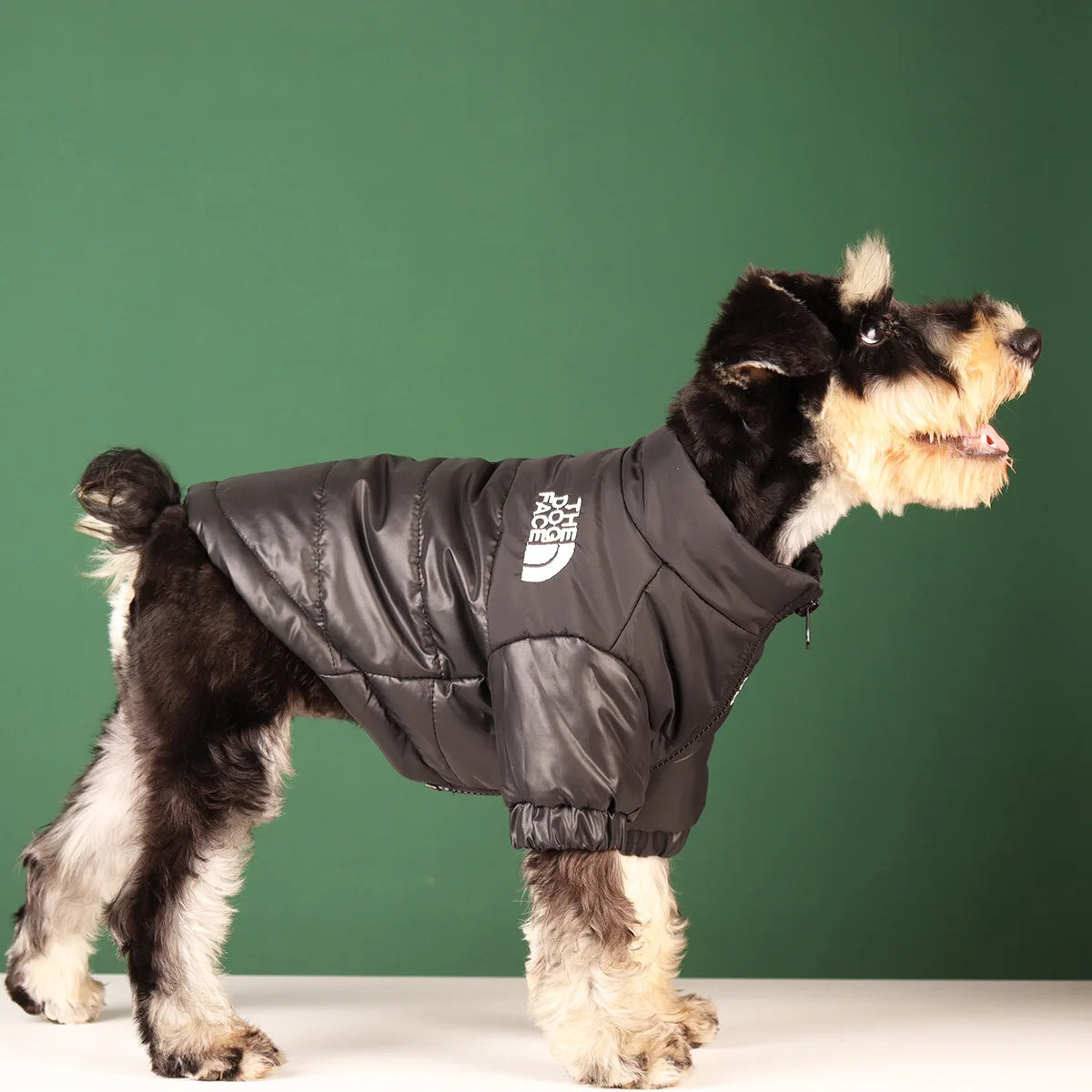 Winter Reflective Dog Coat: Puppy Warm Jacket, Chihuahua Pet Outfits.