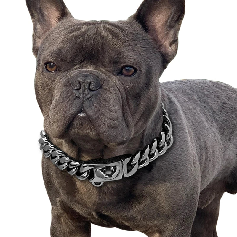 Gold Dog Collar: Add Glamour to Your Pet's Accessories!