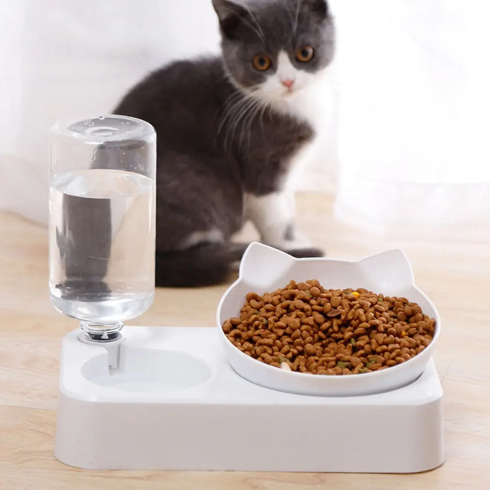 Ergonomic Pet Bowl with Automatic Feeder