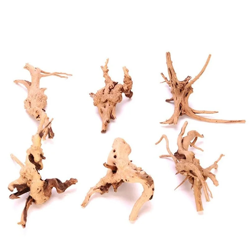 Natural Aquarium Ornament: Bring Nature into Your Fish Tank!