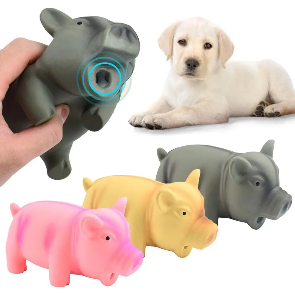 Latex Pig Toy: Grunter Sound Stuffed Chew Toy