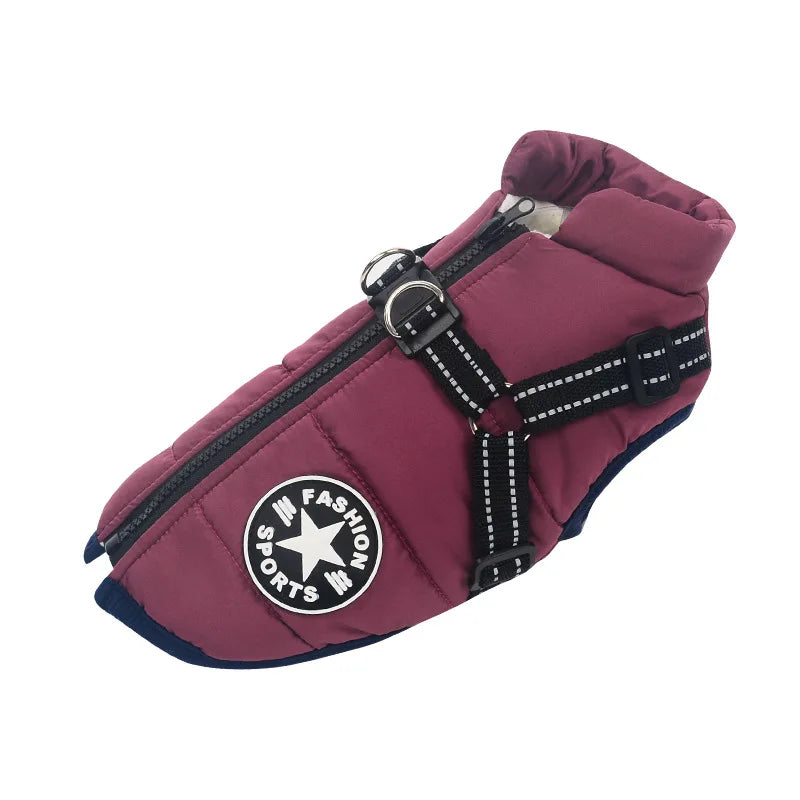 Big Dog Jacket