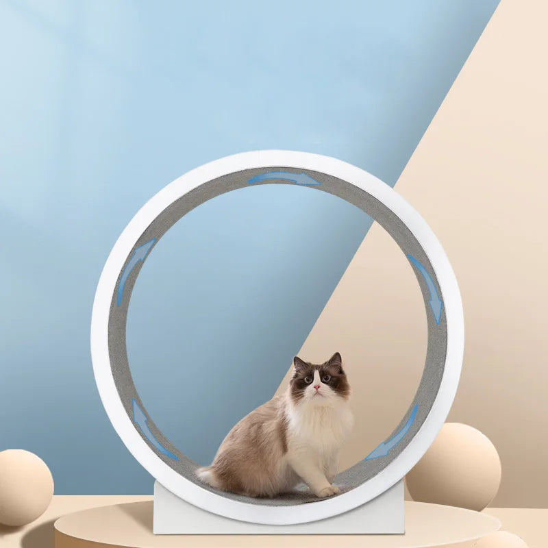 Rolling Cat Climbing Frame: Engaging Exercise for Your Cat!