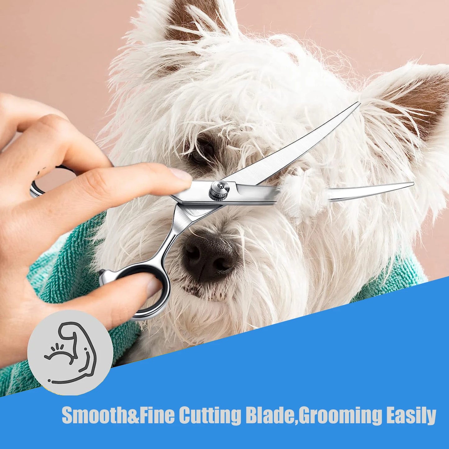 Stainless Steel Pet Hair Scissors: Trimming Shears for Dogs, Cats