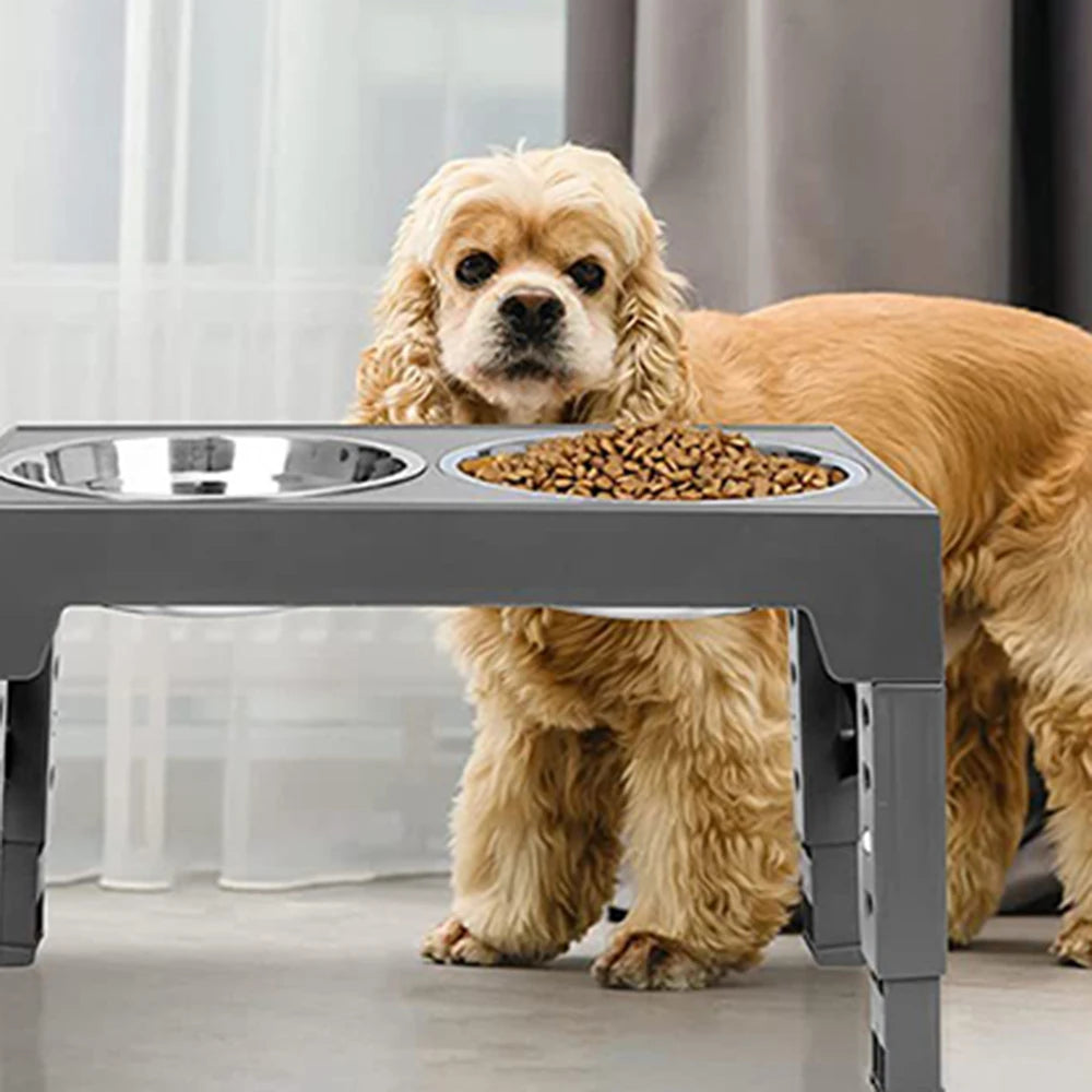 Pet Double-Bowl Feede