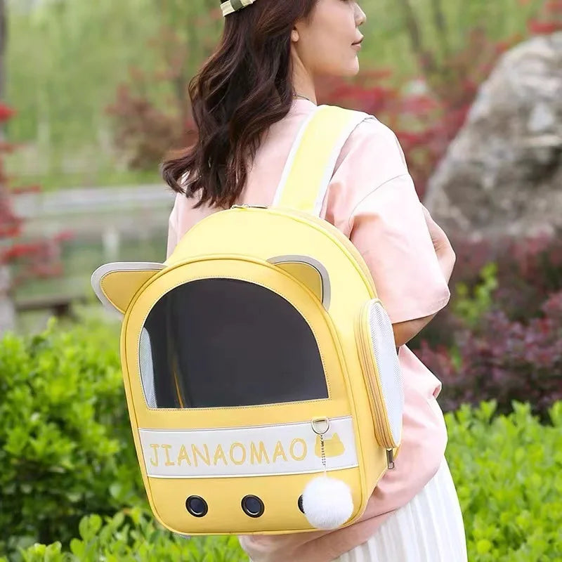 Portable Pet Carrier Bag: Breathable and Foldable for Outdoor Adventures.