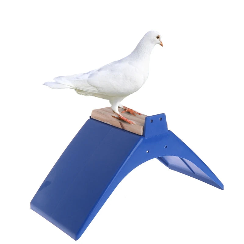 Bird Equipment: Supplies for bird care and maintenance.
