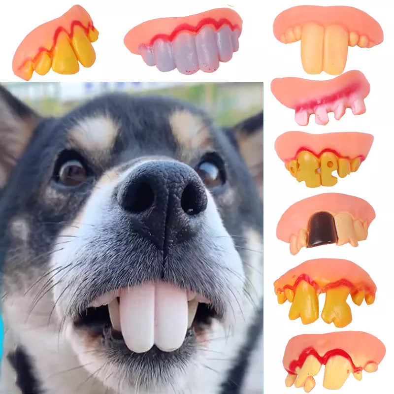 Funny Dog Dentures: Tricky decorating supplies, Halloween cosplay, for dogs.