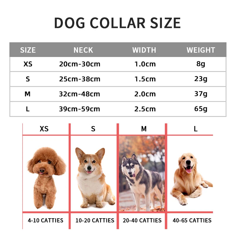 Dog Collar: Safety snap adjustable pet collar for dogs.