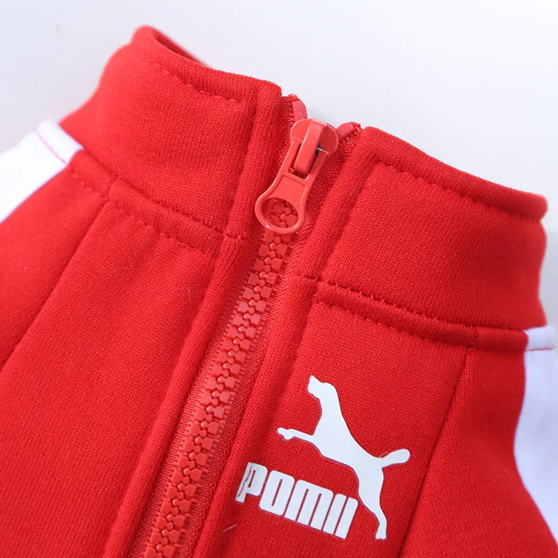 Winter Dog Jacket: Keep Your Dog Warm and Stylish!
