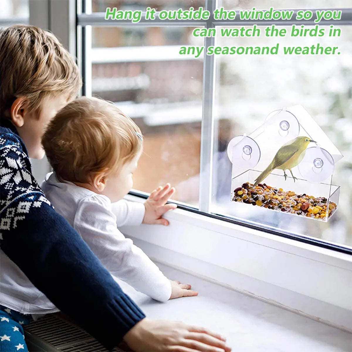 Window Wild Bird Feeder House: Transparent table with sliding tray.
