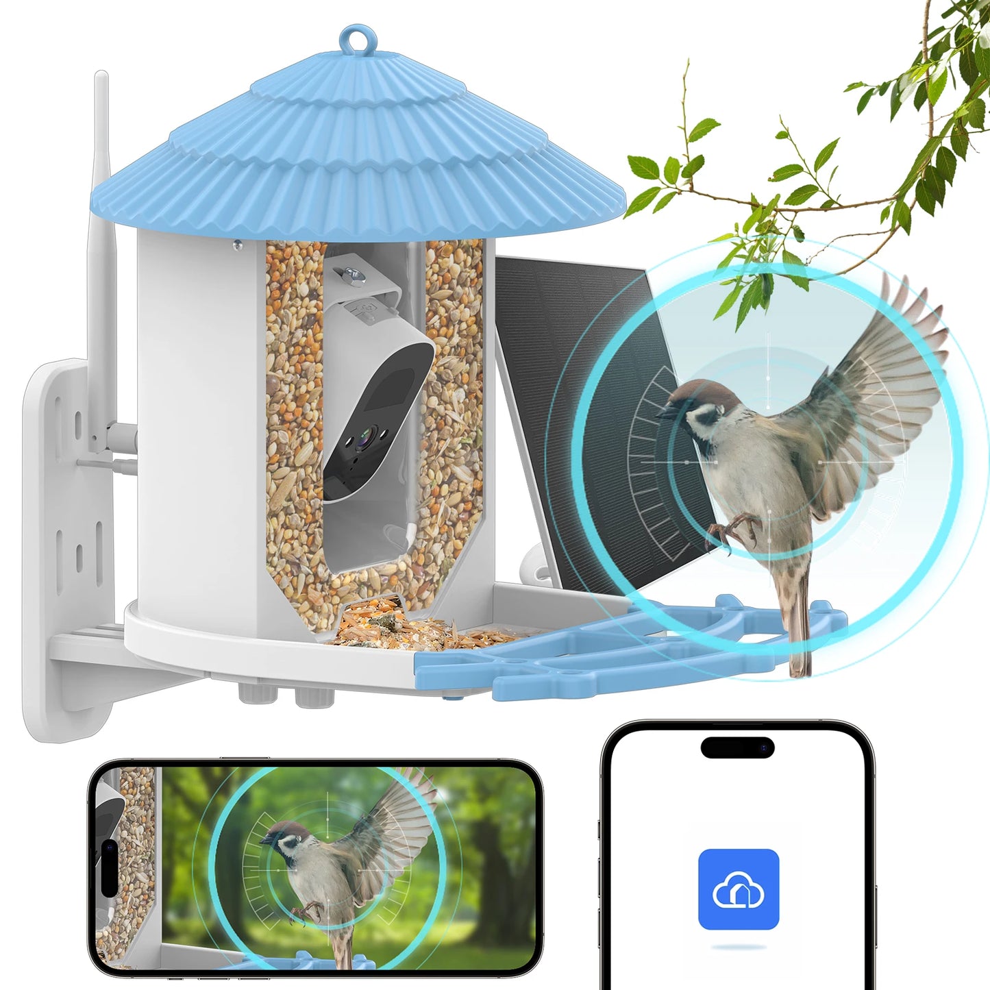 Wireless Outdoor Bird Feeder: Solar-powered, app-controlled camera feeder.