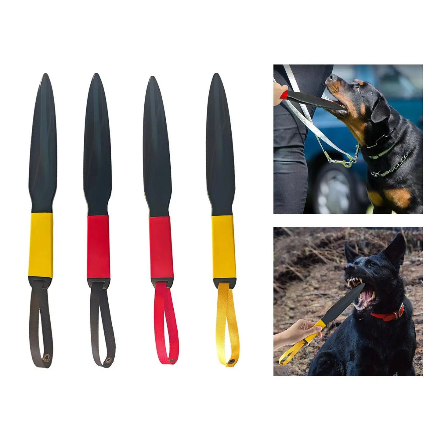 Dog Tooth Plate: Train Your Dog with Ease!