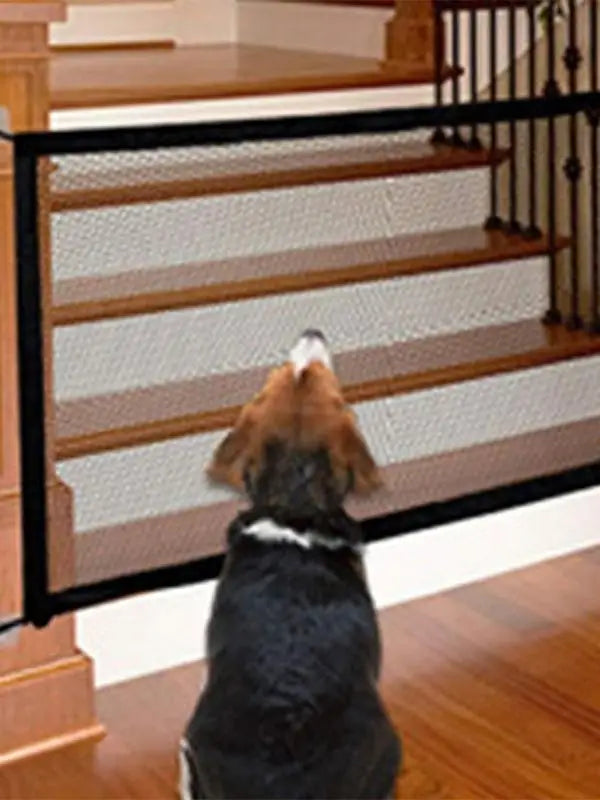 Safety Dog Fence Gate: Ingenious Mesh Magic Gate.