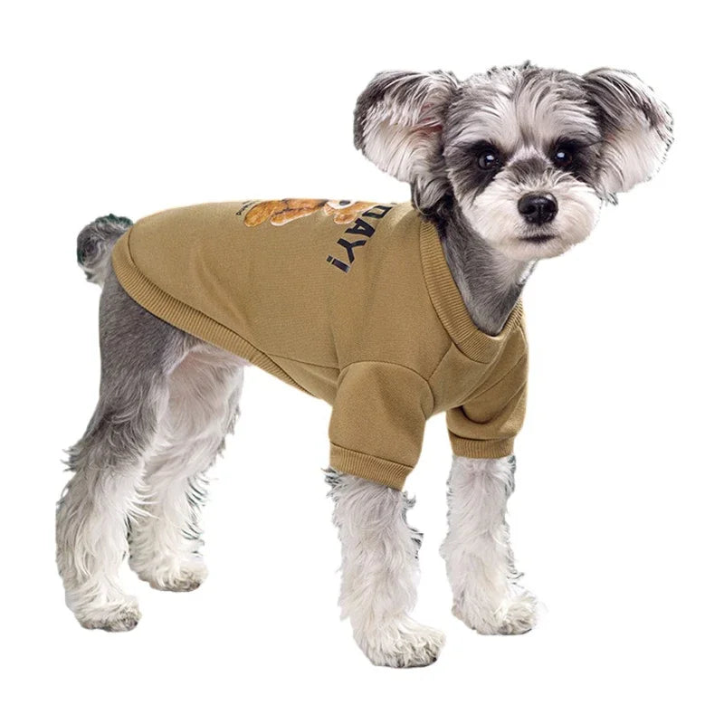 Winter Pet Clothes: Cute bear pattern, warm pullover, for small-medium dogs.
