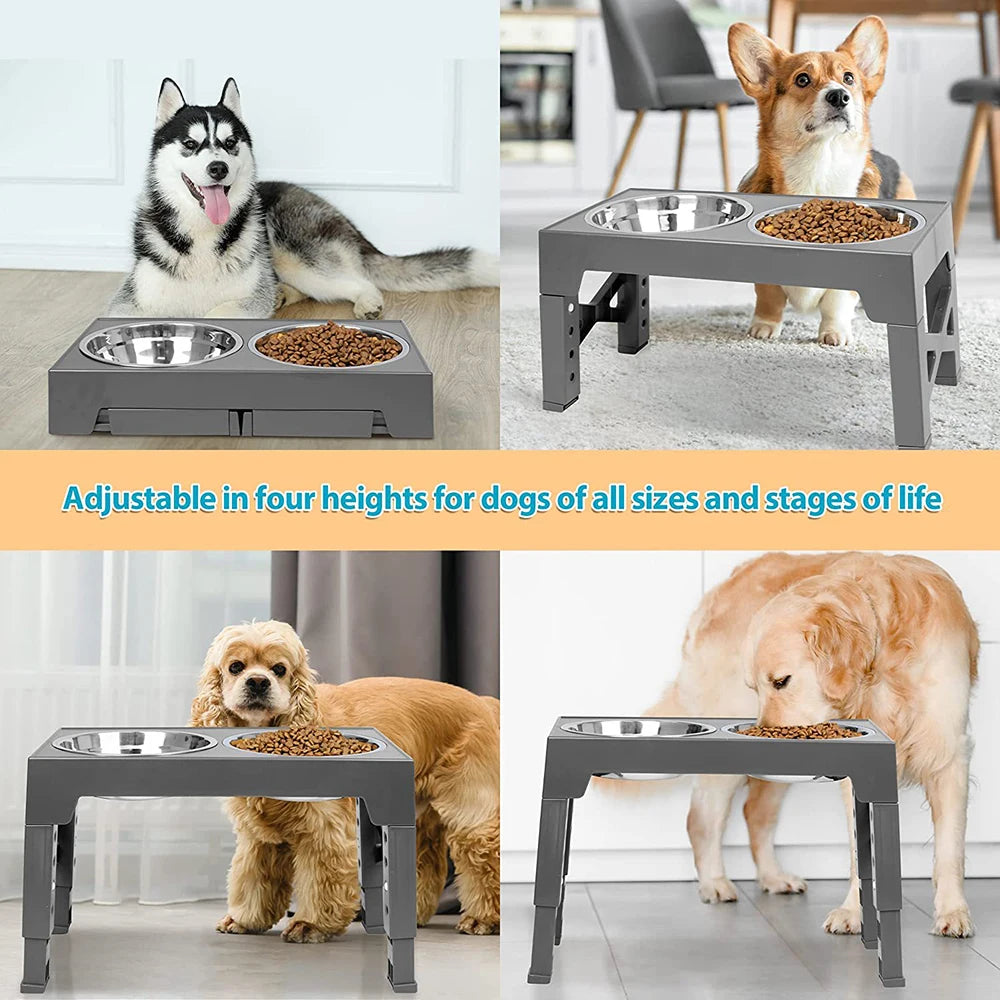 Pet Double-Bowl Feede